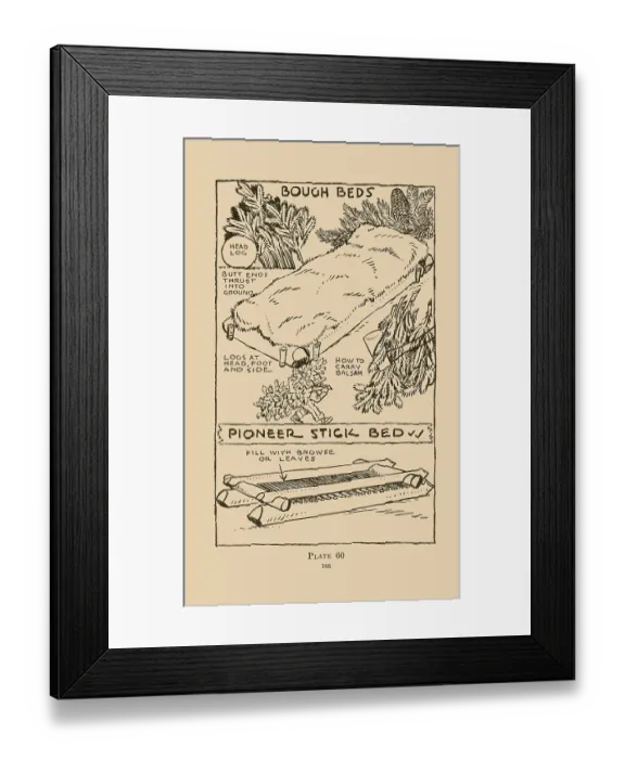 Framed Print : Bough Beds Framed Print : Bough Beds