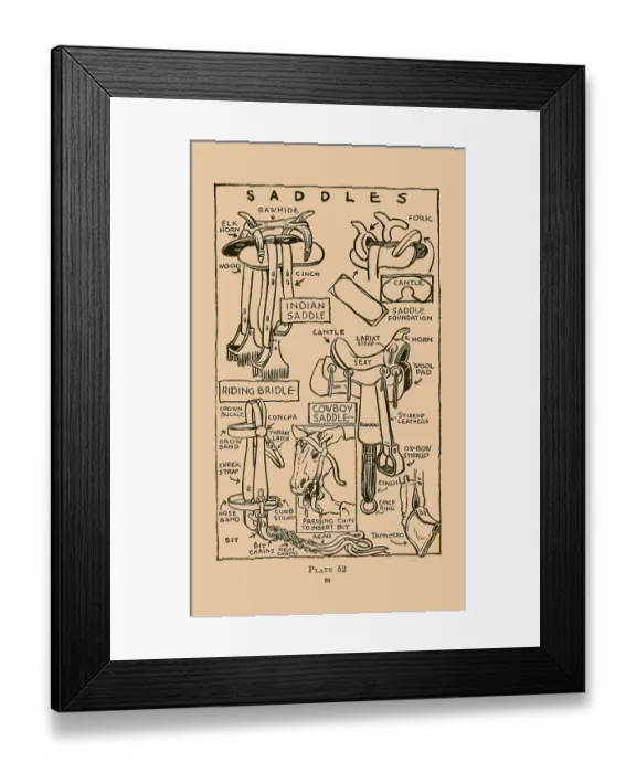 Framed Print : Saddles. Illustrated plate from Wildwood Wisdom by Ellsworth Jaeger Framed Print : Saddles. Illustrated plate from Wildwood Wisdom by Ellsworth Jaeger