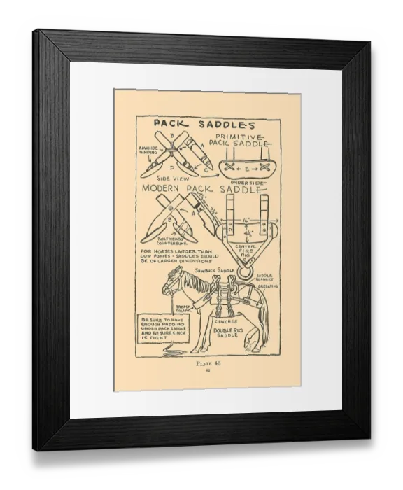 Framed Print : Pack Saddles Framed Print : Pack Saddles