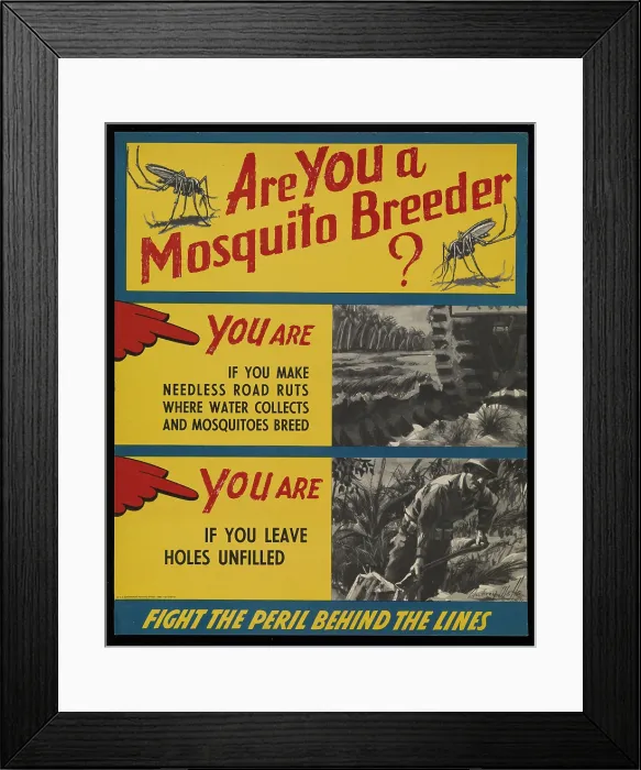 Framed Print : Are You A Mosquito Breeder? Framed Print : Are You A Mosquito Breeder?