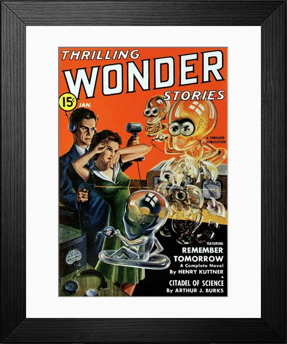 Framed Print : Citidel of Science Framed Print : Citidel of Science