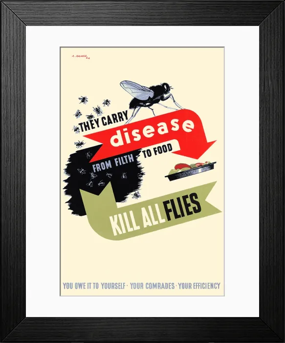 Framed Print : Kill All Flies Framed Print : Kill All Flies