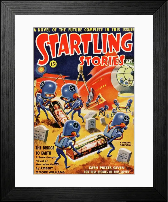 Framed Print : The Bridge to Earth