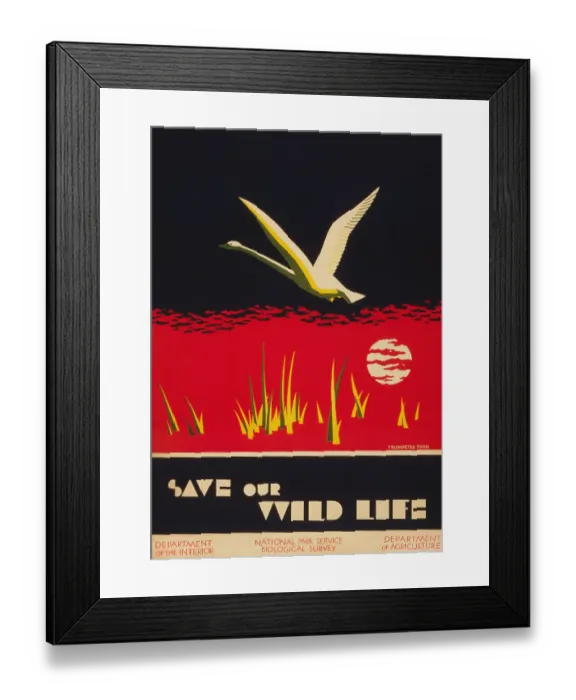 Framed Print : Save our wild life Framed Print : Save our wild life