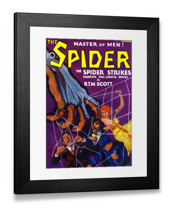 Framed Print : The Spider Strikes Framed Print : The Spider Strikes