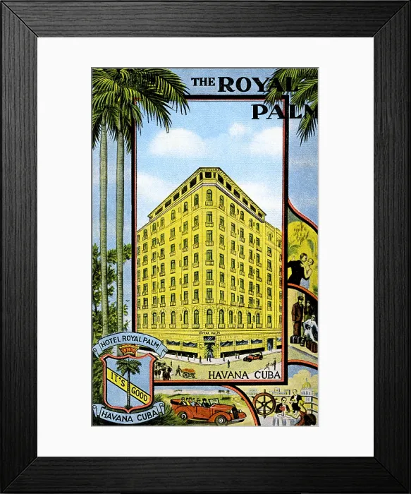 Framed Print : The Royal Palm Framed Print : The Royal Palm