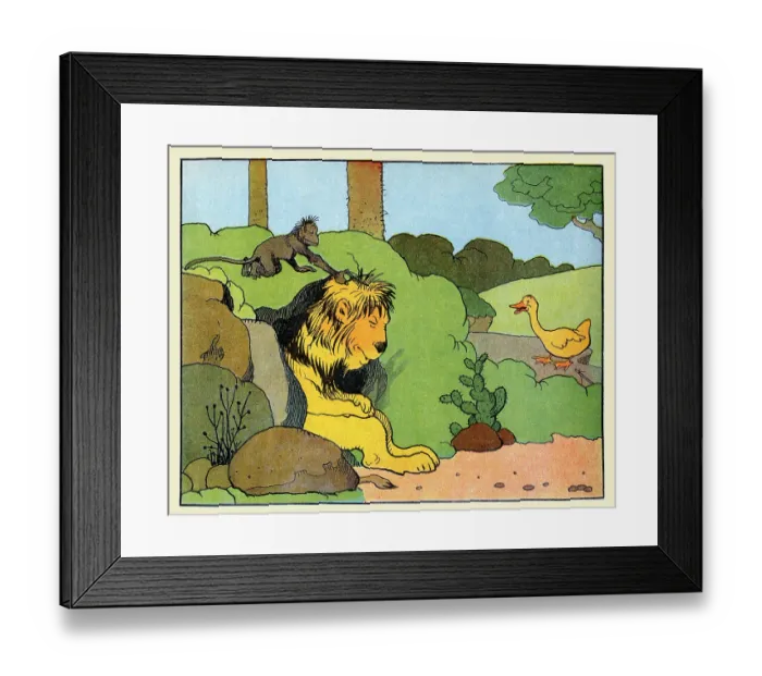 Framed Print : Mr. Lion's Hair Cut Framed Print : Mr. Lion's Hair Cut