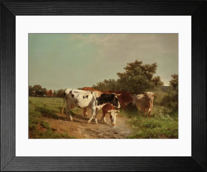 Framed Print : Grazing Cattle Framed Print : Grazing Cattle