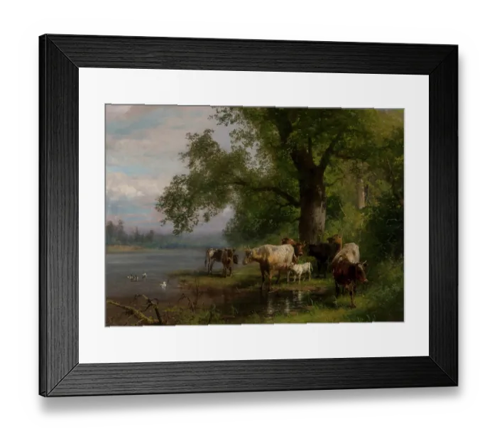 Framed Print : Cattle Watering Framed Print : Cattle Watering