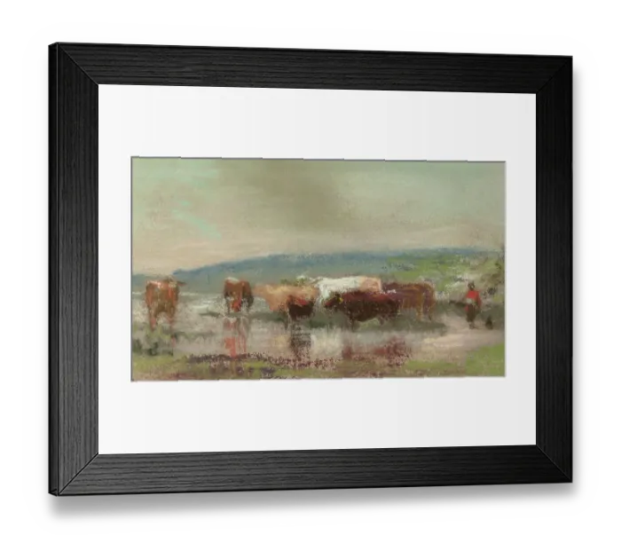 Framed Print : Cattle in a Stream Framed Print : Cattle in a Stream