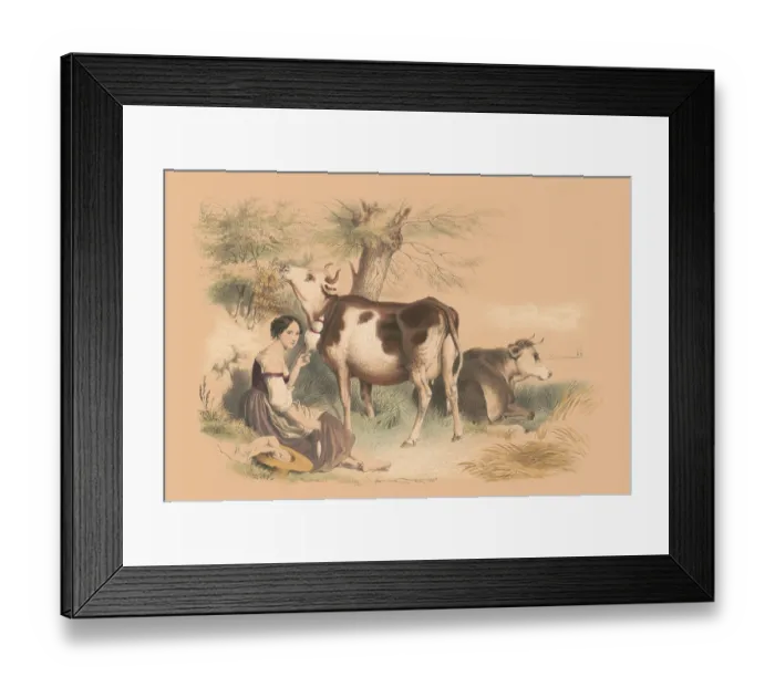 Framed Print : Woman beside two cows Framed Print : Woman beside two cows