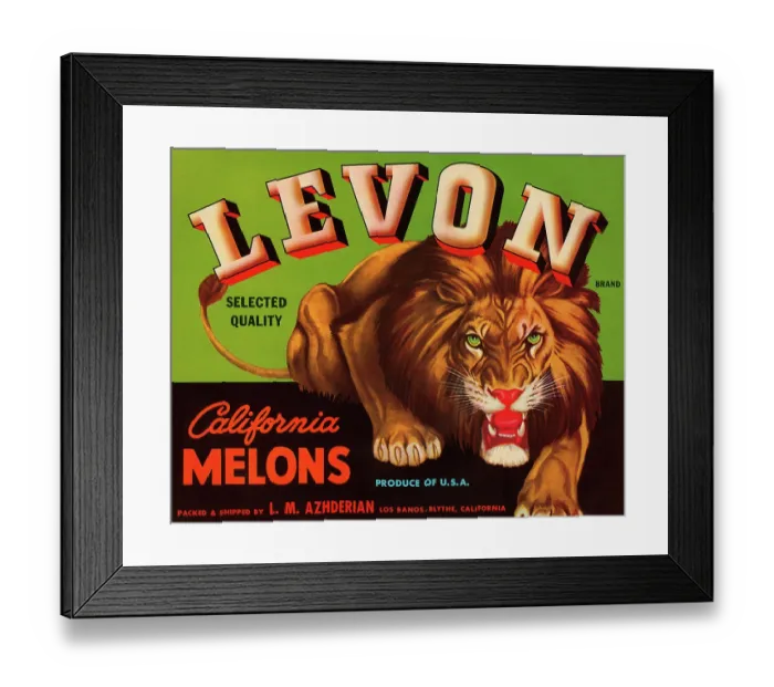 Framed Print : Levon Brand Melons Framed Print : Levon Brand Melons