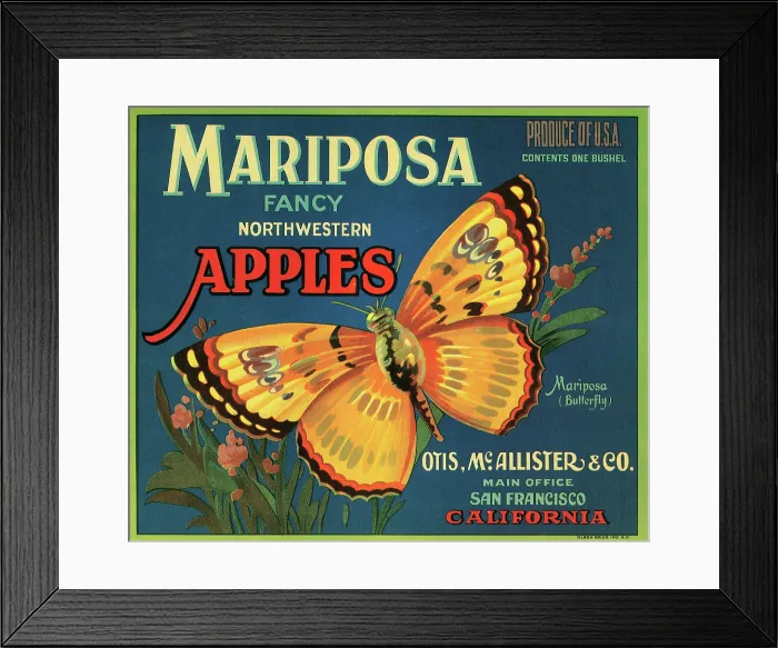 Framed Print : Mariposa Brand Apples