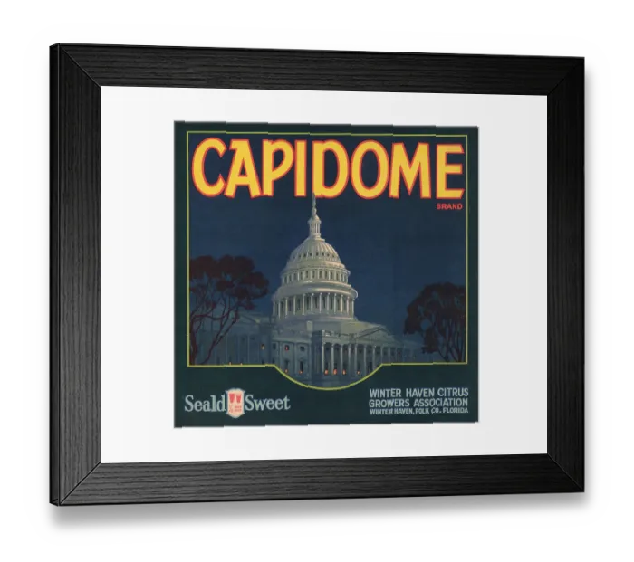 Framed Print : Capidome Brand