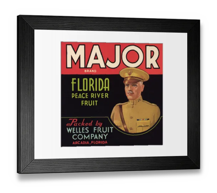 Framed Print : Major Brand Framed Print : Major Brand