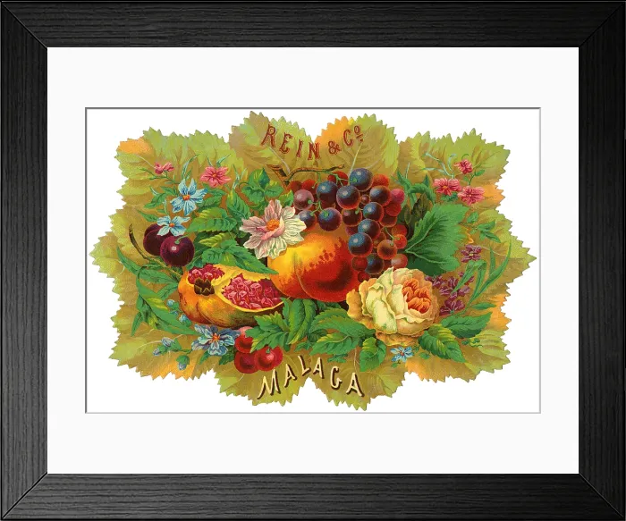 Framed Print : Rein & Co. Spanish fruit crate label from the Rein and Co Framed Print : Rein & Co. Spanish fruit crate label from the Rein and Co
