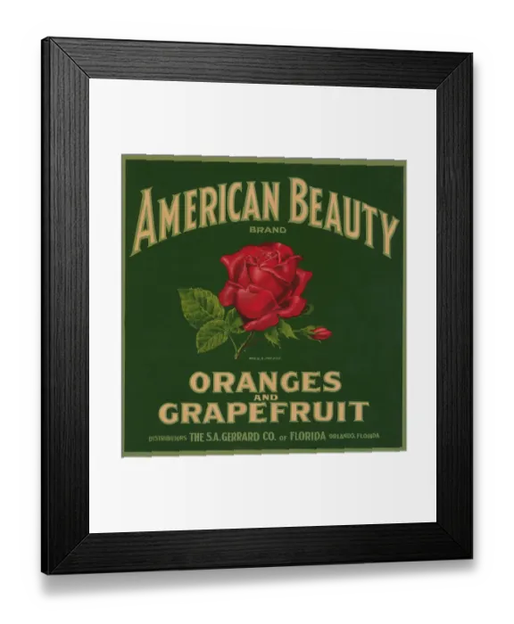 Framed Print : American Beauty Brand