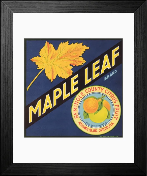 Framed Print : Maple Leaf Brand Framed Print : Maple Leaf Brand