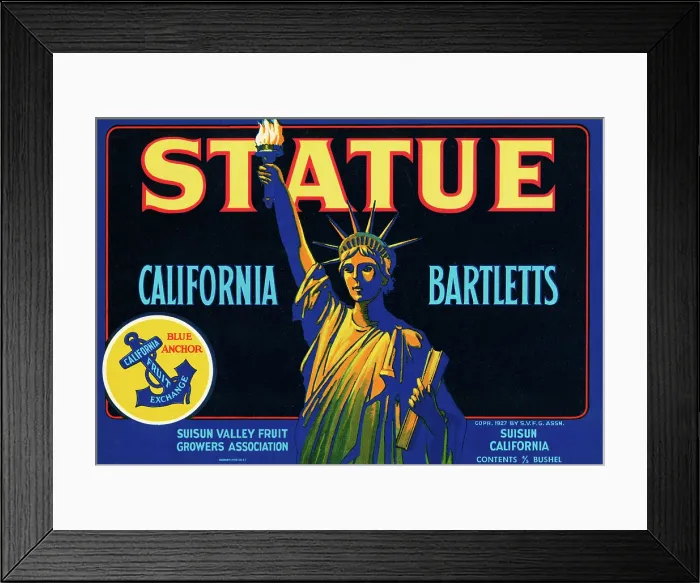 Framed Print : Satute Brand Framed Print : Satute Brand