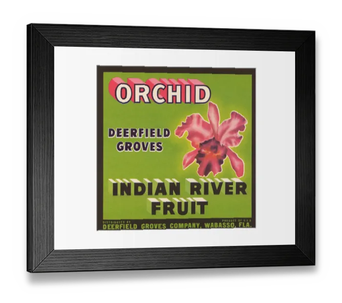 Framed Print : Orchid Indian River Fruit Framed Print : Orchid Indian River Fruit
