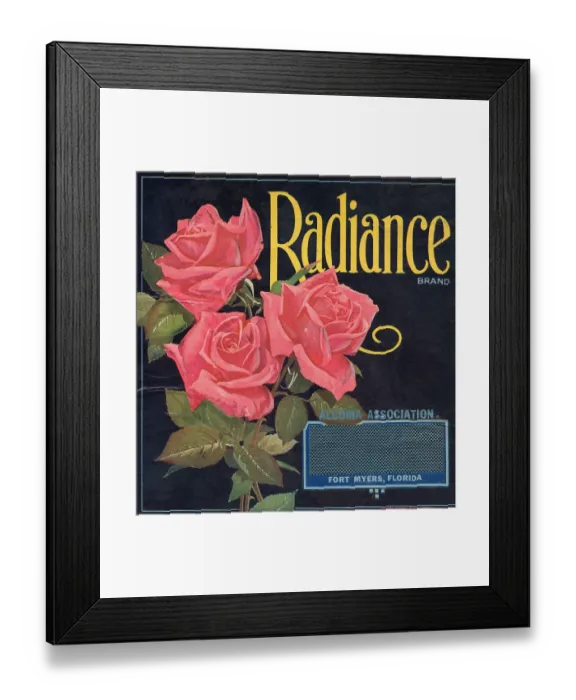 Framed Print : Radiance Brand Framed Print : Radiance Brand