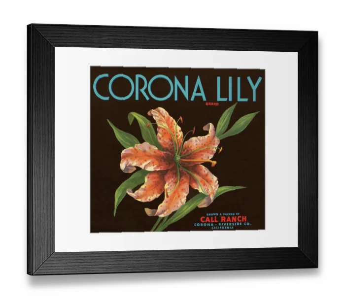 Framed Print : Corona Lily Brand Framed Print : Corona Lily Brand