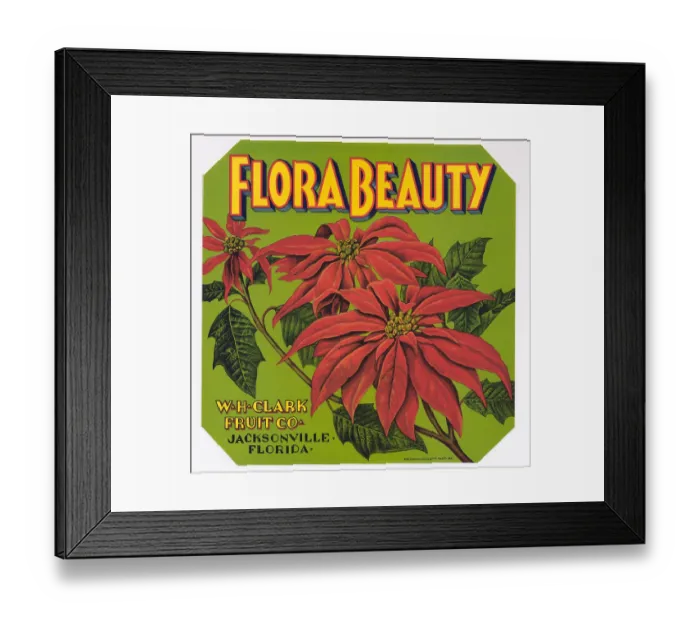 Framed Print : Flora Beauty Framed Print : Flora Beauty