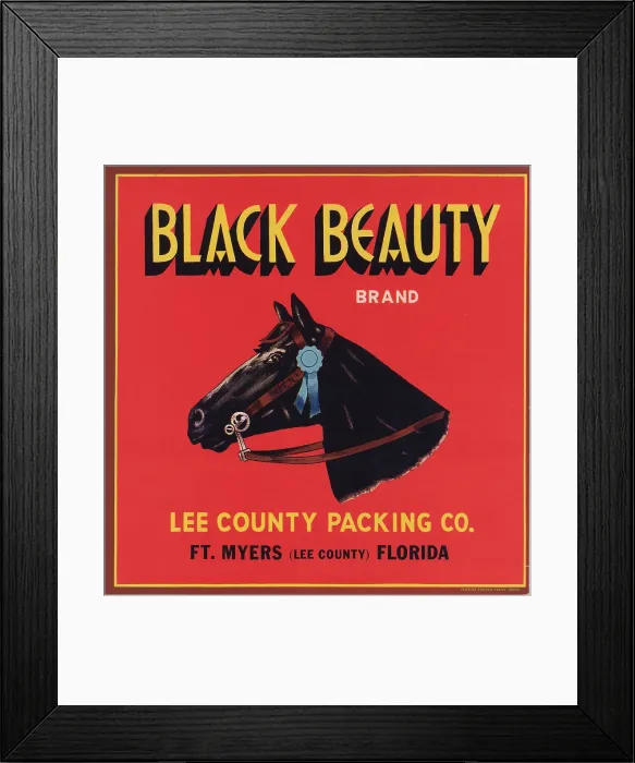 Framed Print : Black Beauty Brand Framed Print : Black Beauty Brand