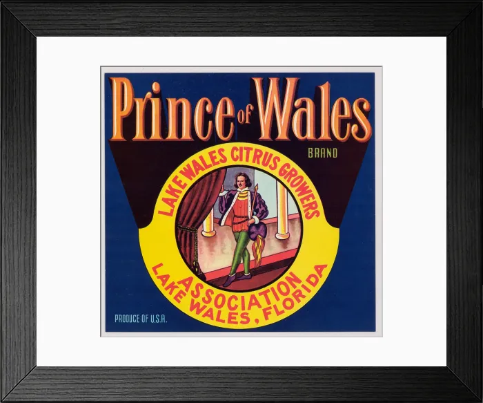 Framed Print : Prince of Wales Framed Print : Prince of Wales
