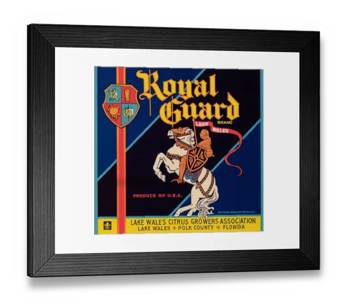 Framed Print : Royal Guard Brand Framed Print : Royal Guard Brand