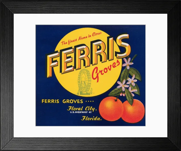 Framed Print : Ferris Groves Framed Print : Ferris Groves