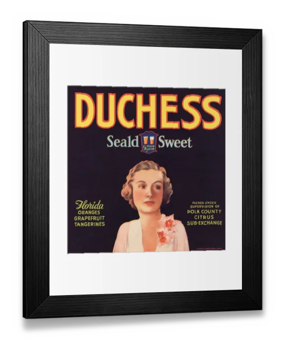 Framed Print : Duchess Seald Sweet Framed Print : Duchess Seald Sweet