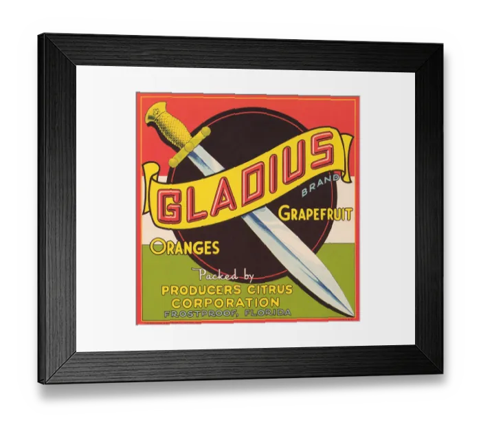 Framed Print : Gladius Brand Framed Print : Gladius Brand
