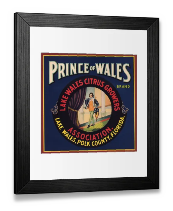 Framed Print : Prince of Wales brand Framed Print : Prince of Wales brand