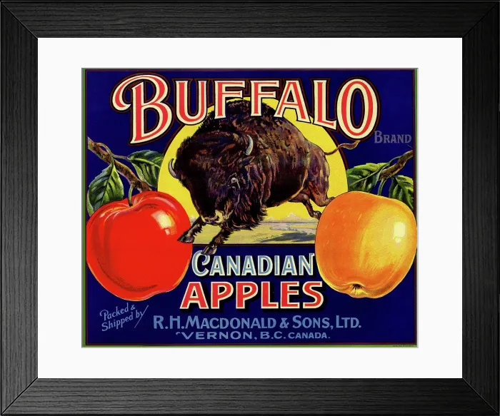 Framed Print : Buffalo Canadian Apples Framed Print : Buffalo Canadian Apples
