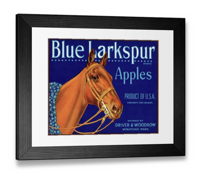 Framed Print : Blue Larkspur Apples