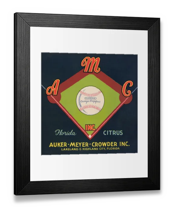Framed Print : A.M.C. Inc Florida Citrus Framed Print : A.M.C. Inc Florida Citrus