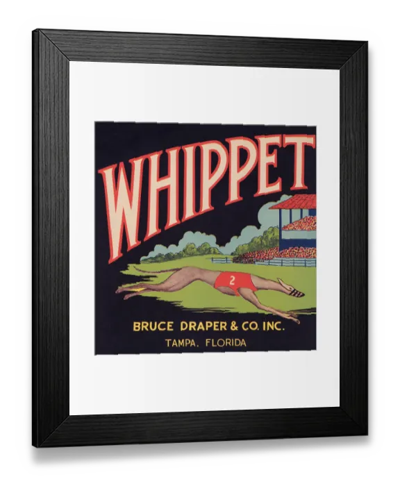 Framed Print : Whippet Brand Framed Print : Whippet Brand