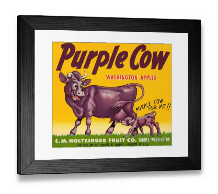 Framed Print : Purple Cow Washington Apples Framed Print : Purple Cow Washington Apples