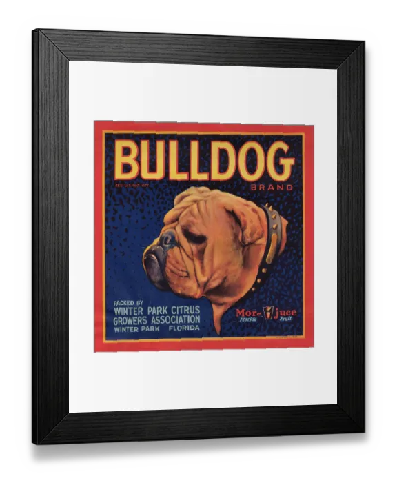 Framed Print : Bulldog Brand Framed Print : Bulldog Brand