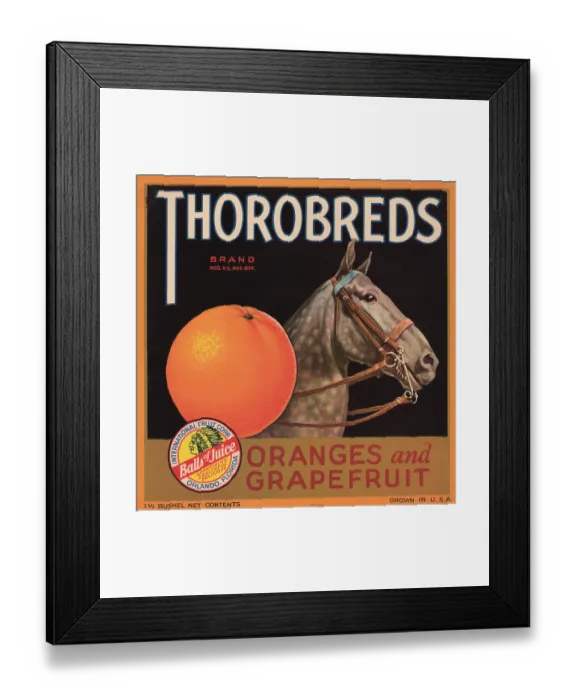 Framed Print : Thorobreds Brand