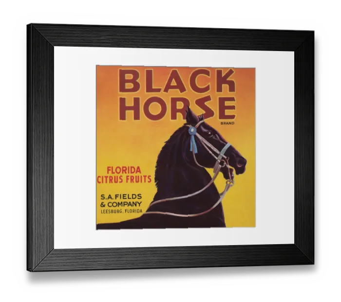 Framed Print : Black Horse Brand Framed Print : Black Horse Brand