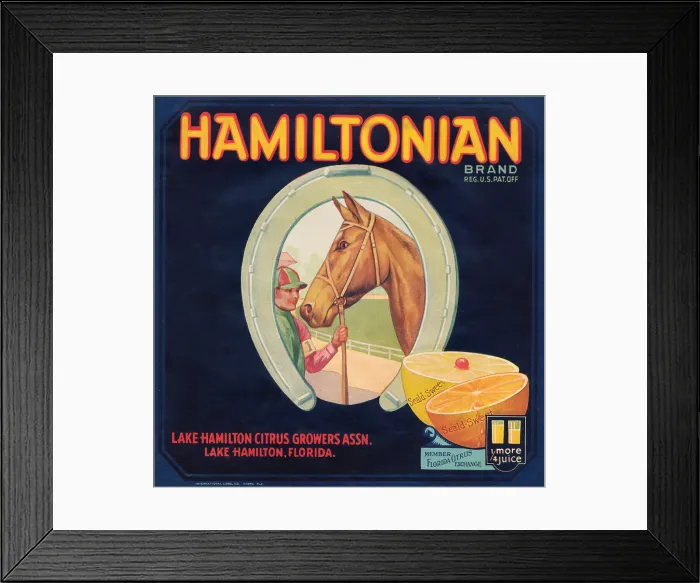 Framed Print : Hamiltonian Brand Framed Print : Hamiltonian Brand