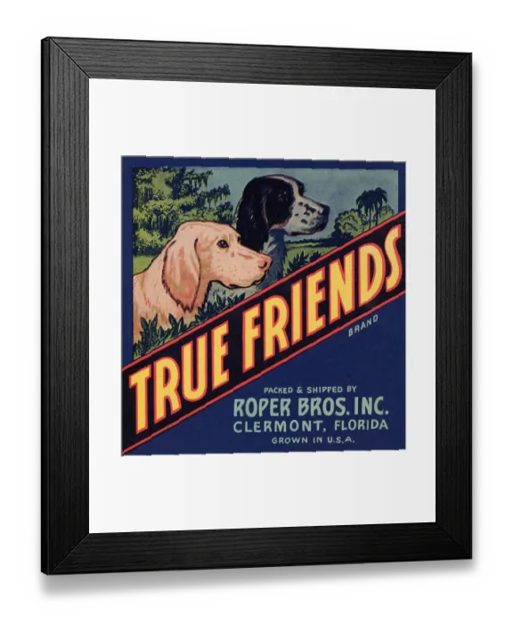 Framed Print : True Friends Framed Print : True Friends