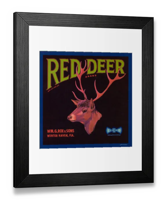 Framed Print : Red Deer Brand Framed Print : Red Deer Brand
