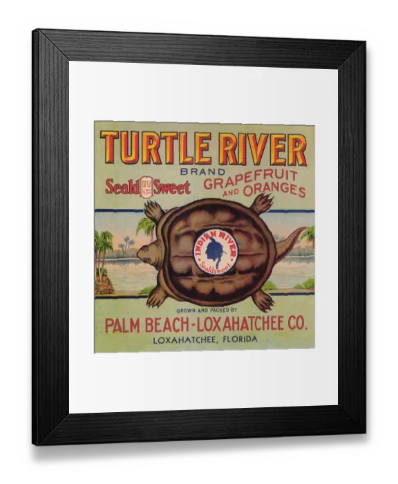 Framed Print : Turtle River Brand Framed Print : Turtle River Brand