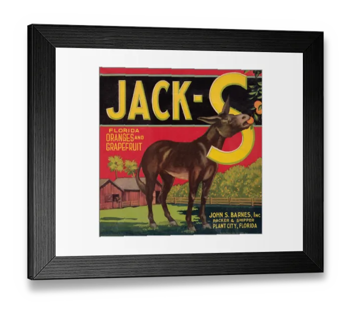 Framed Print : Jack-S. Fruit crate label for the Jack-S brand of Florida oranges and grapefruit Framed Print : Jack-S. Fruit crate label for the Jack-S brand of Florida oranges and grapefruit