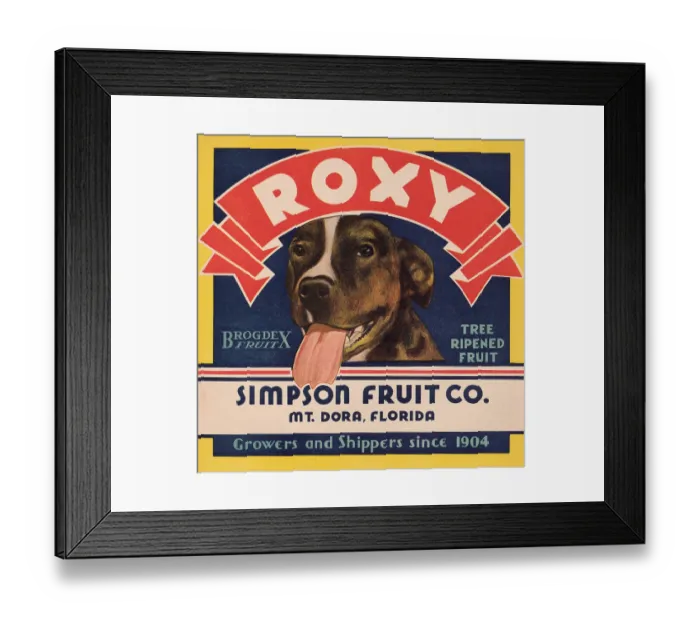 Framed Print : Roxy Tree Ripened Fruit Framed Print : Roxy Tree Ripened Fruit