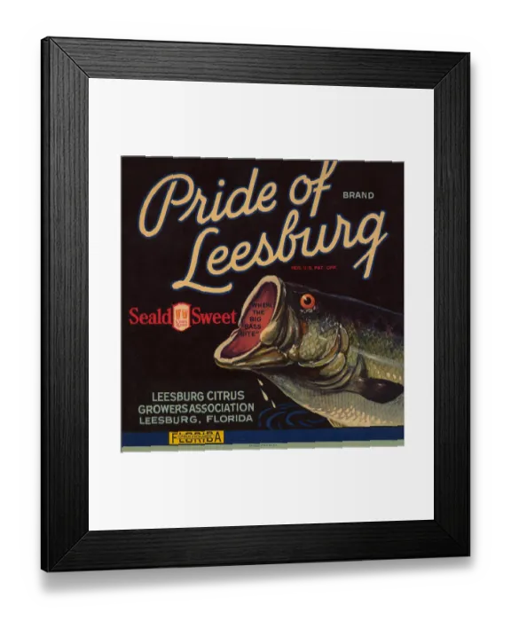 Framed Print : Pride of Leesburg Brand Framed Print : Pride of Leesburg Brand