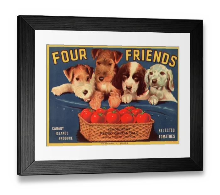 Framed Print : Four Friends Tomatoes Framed Print : Four Friends Tomatoes